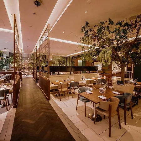 Hilton Hotel 5*