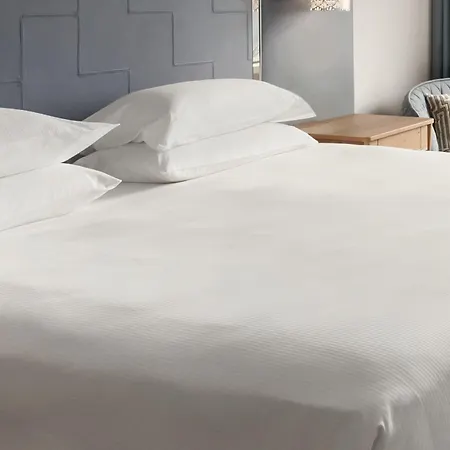 酒店 鹿特丹希尔顿酒店