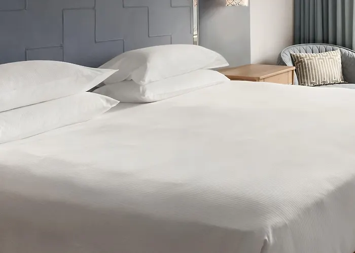 ホテル ヒルトン